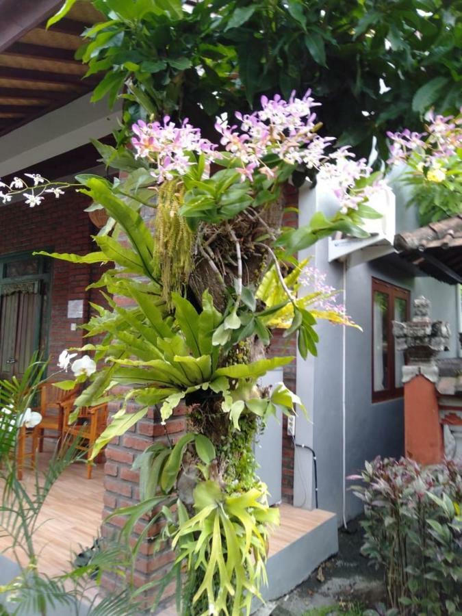 Twins Homestay 캉구 외부 사진